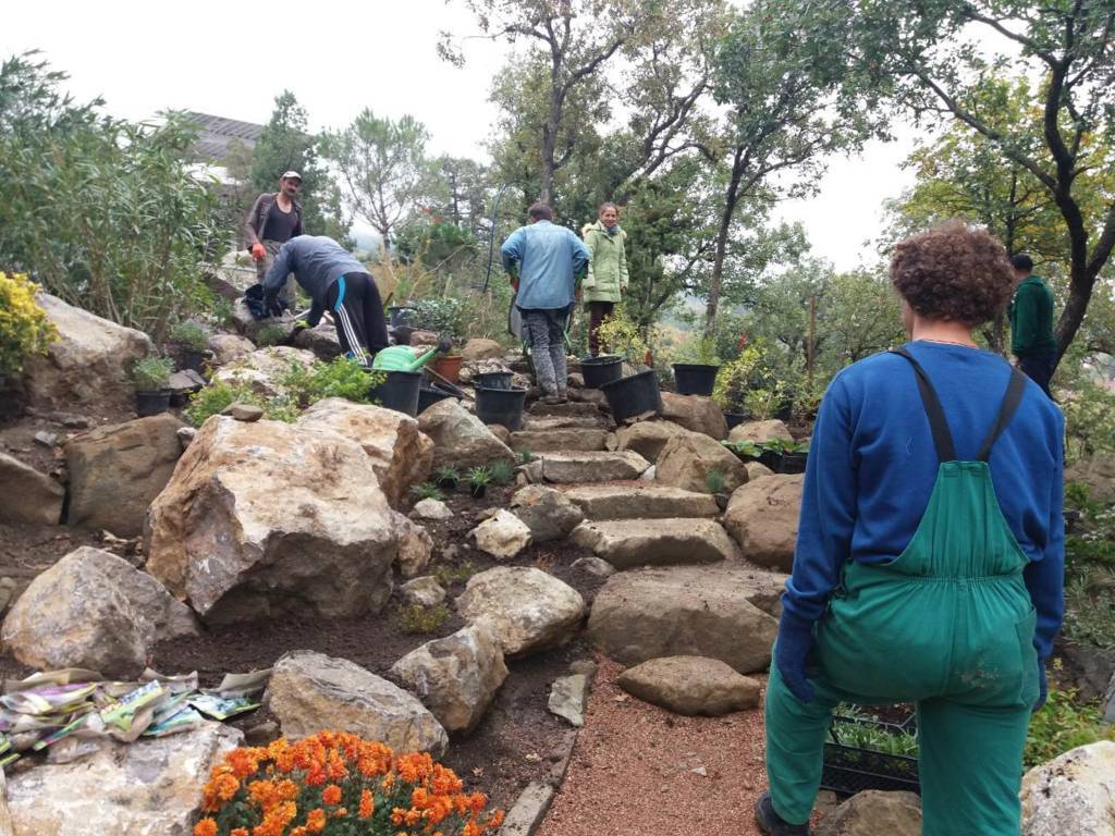 Закладка каменистого сада