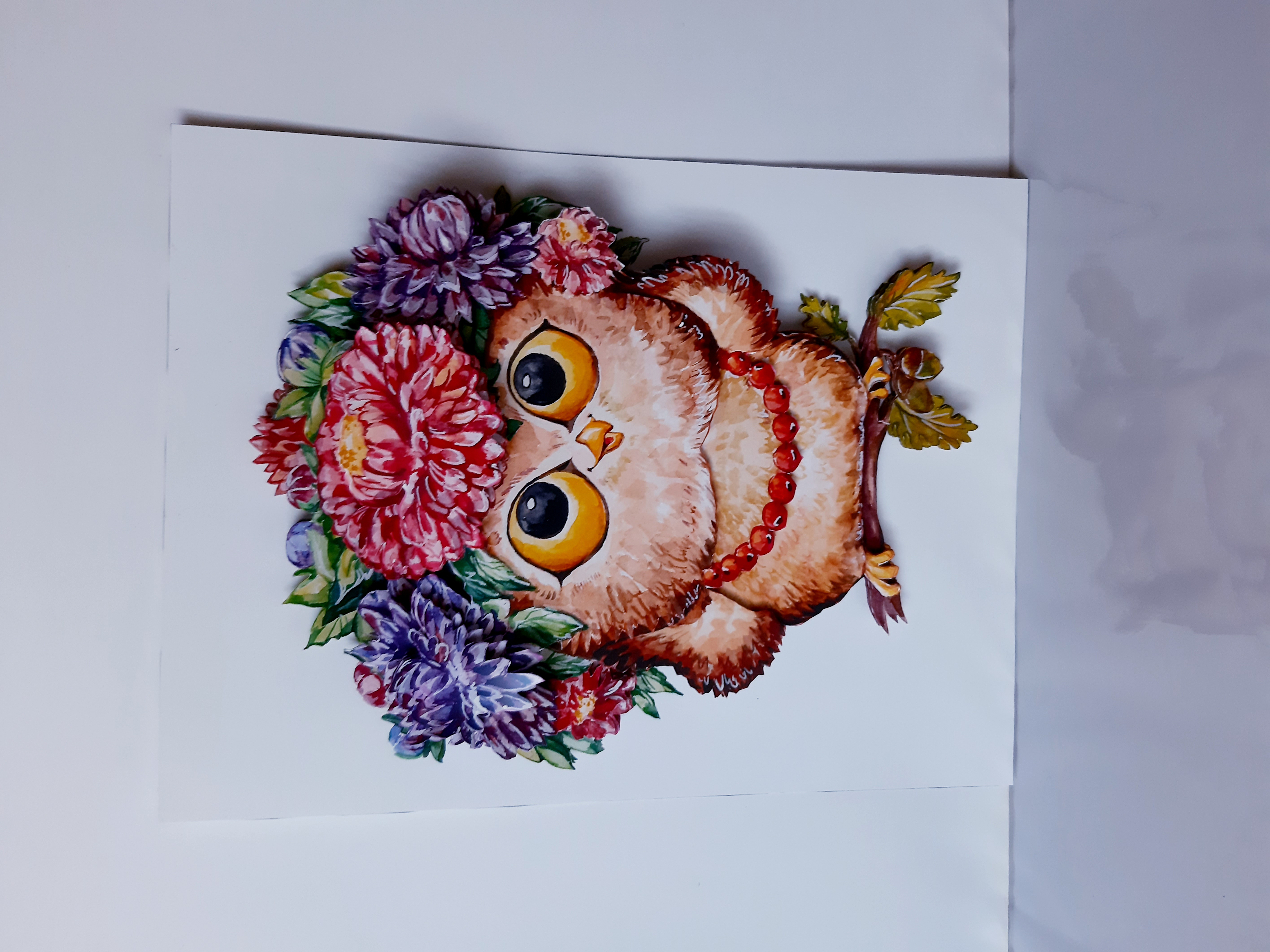 Изображение новости