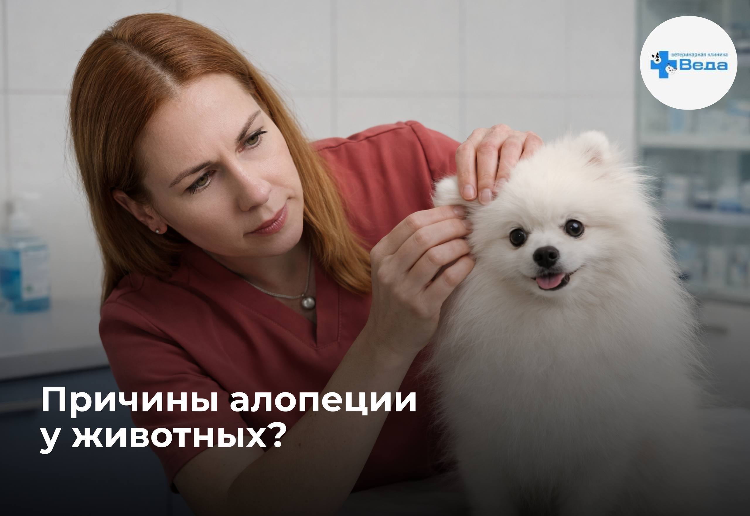 Изображение новости