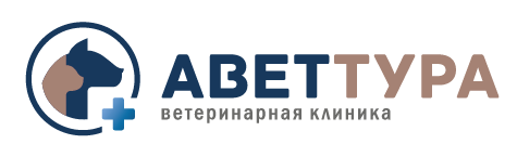 Кровь в стуле у собаки