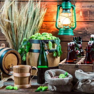 Пивоварение