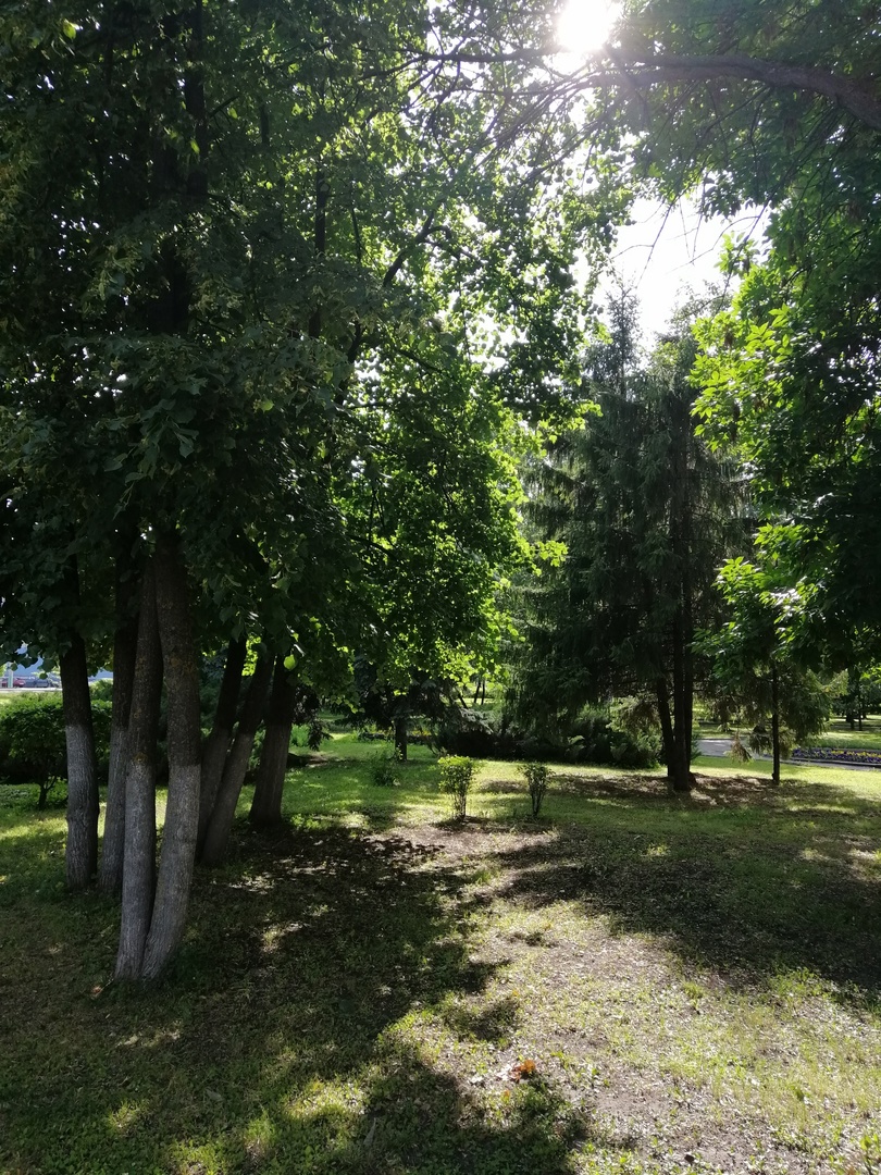 Изображение новости