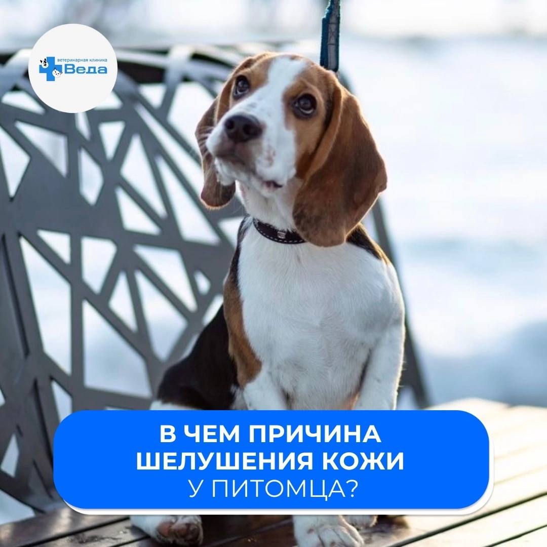 Изображение новости