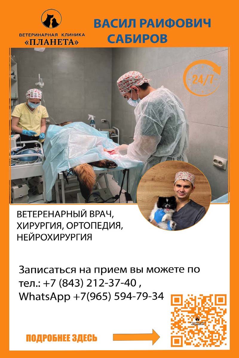 Ветеринарный хирург-ортопед/нейрохирург  / травматолог