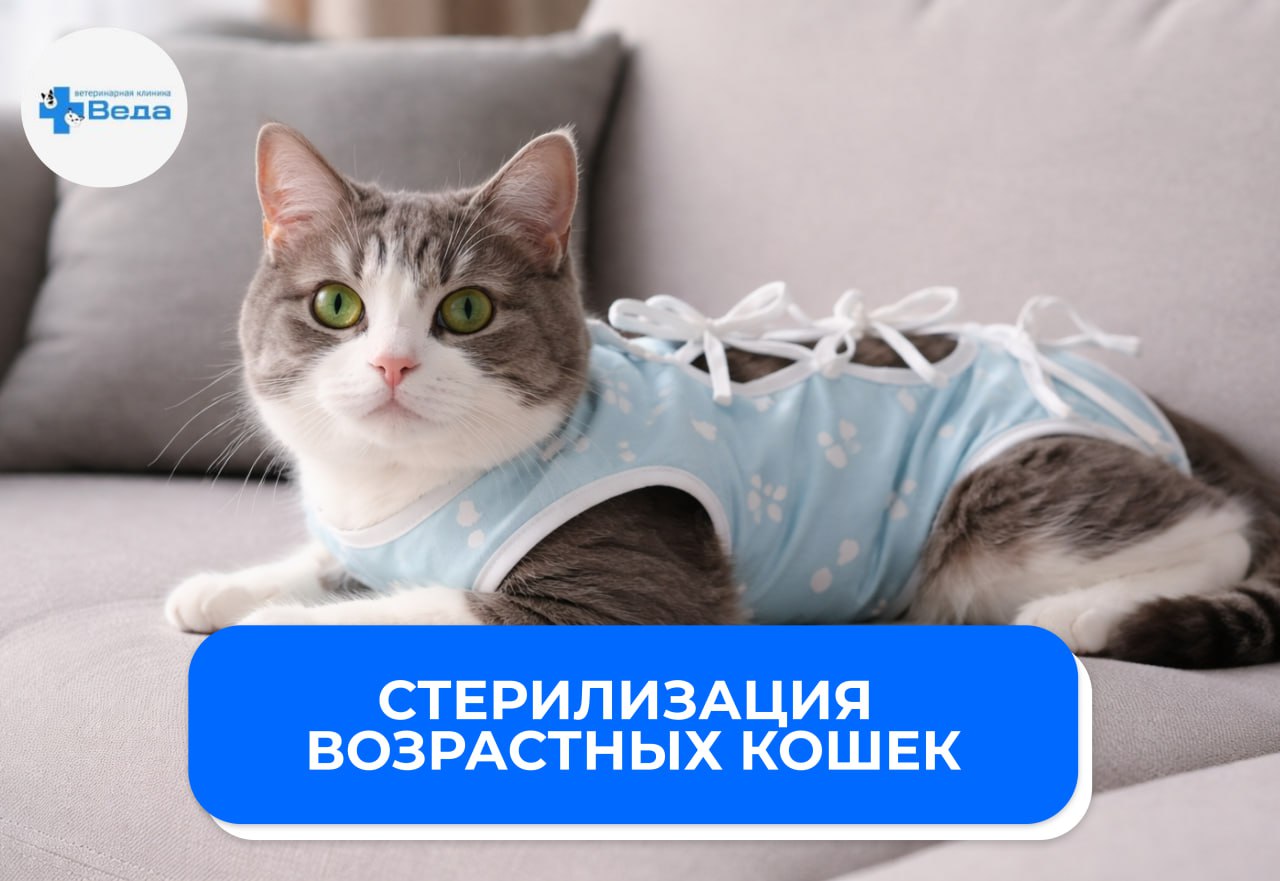 Изображение новости