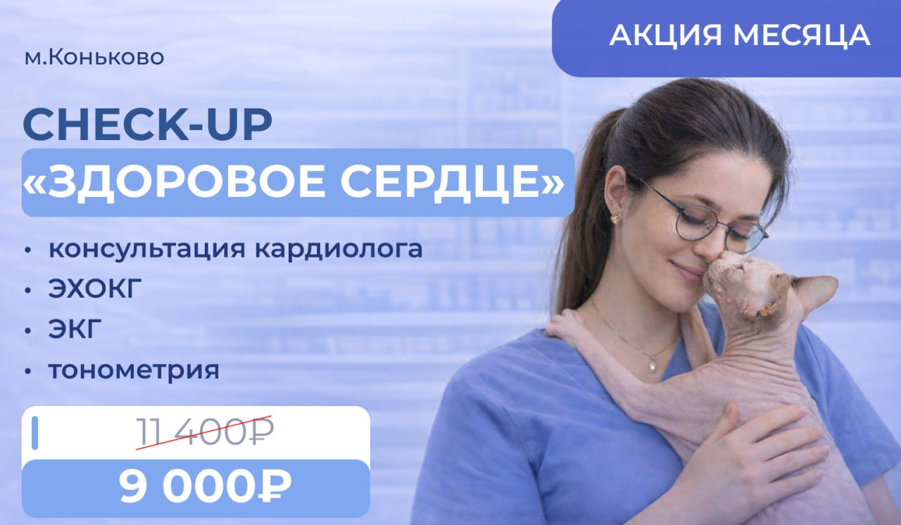 Изображение новости