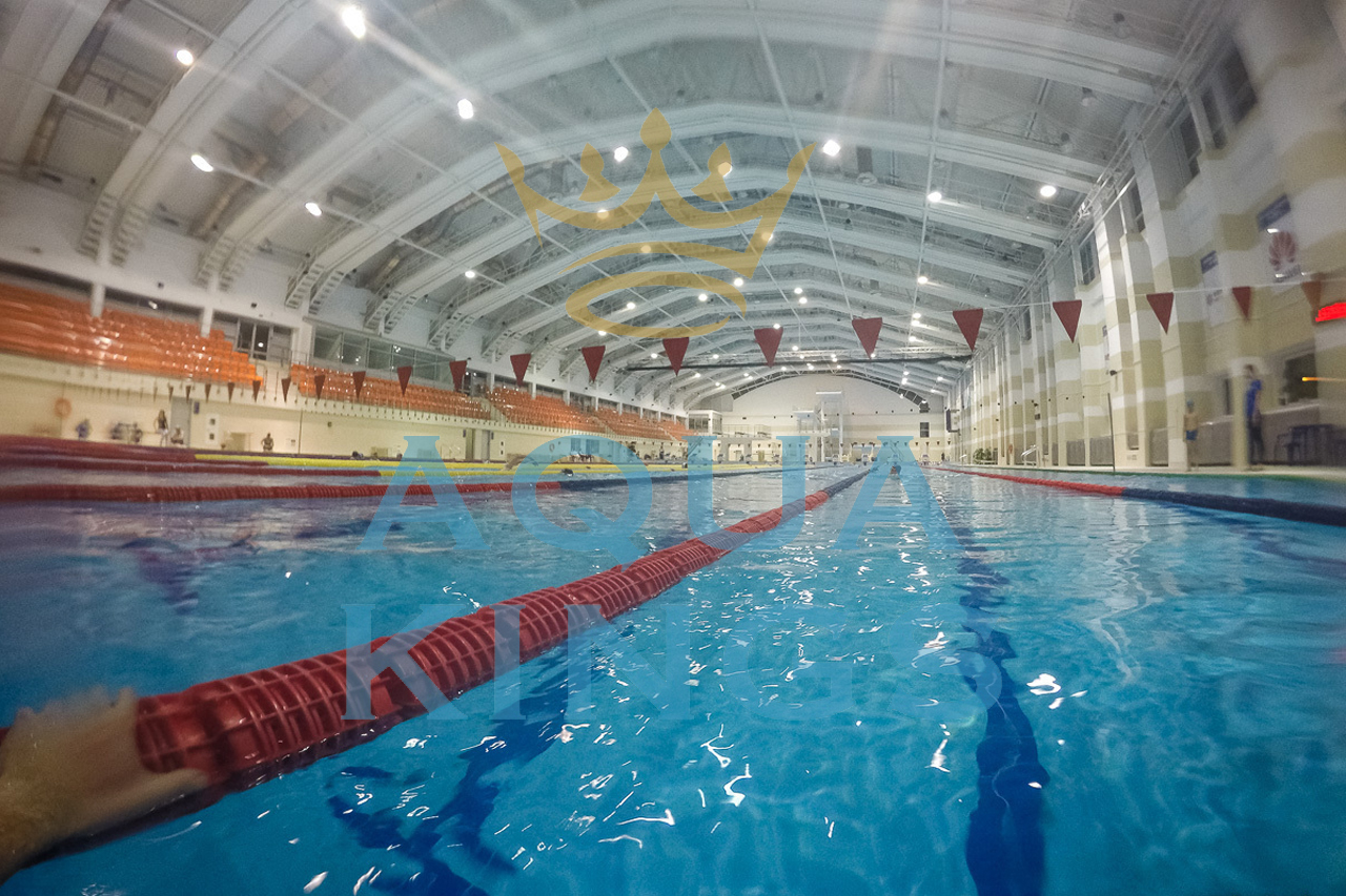 Тренер по плаванию и прыжкам в воду,  индивидуальные тренировки 50 р, Минск