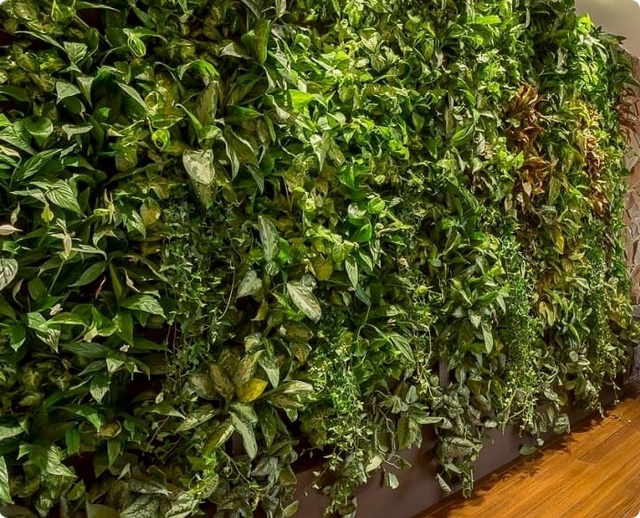 Вертикальное озеленение искусственными растениями.