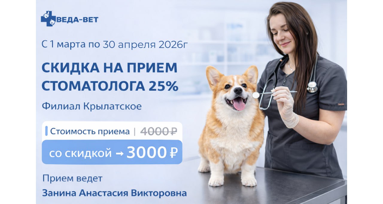 Изображение новости