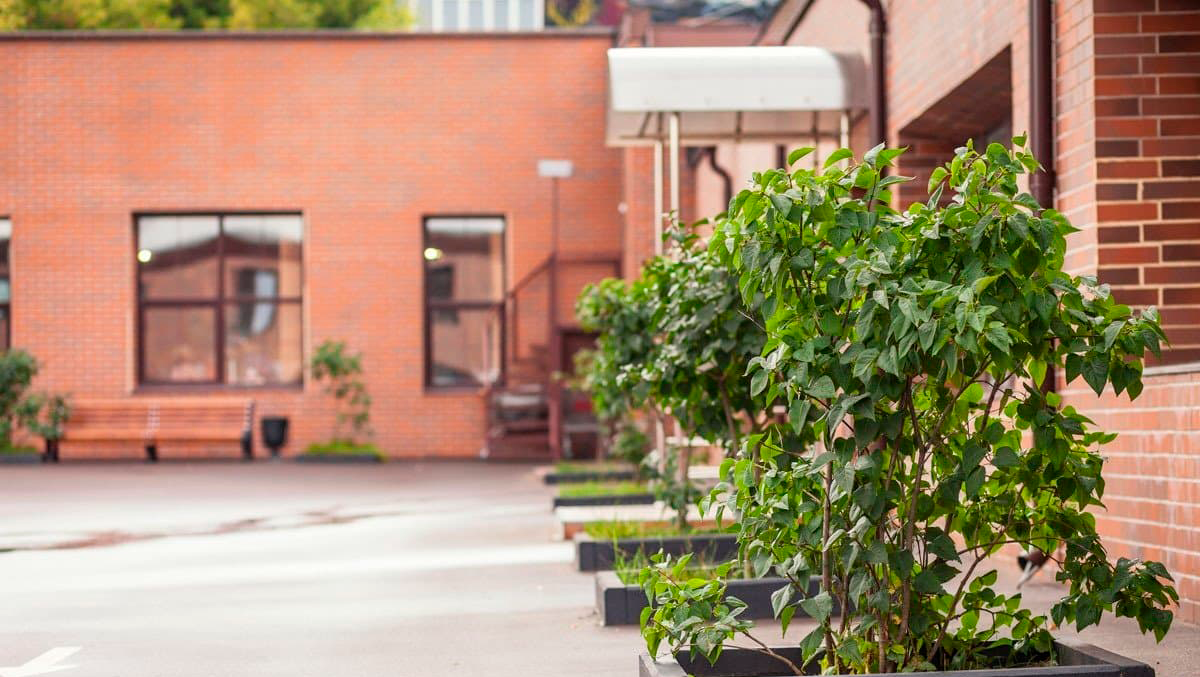 Изображение новости