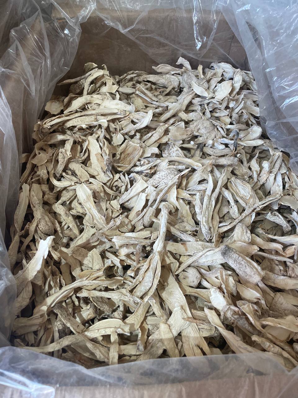 Навозник белый (лат. Coprinus comatus). Корпинус - малоизвестный в России и чрезвычайно недооцененный лекарственный гриб.