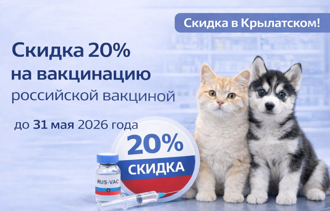 Изображение новости