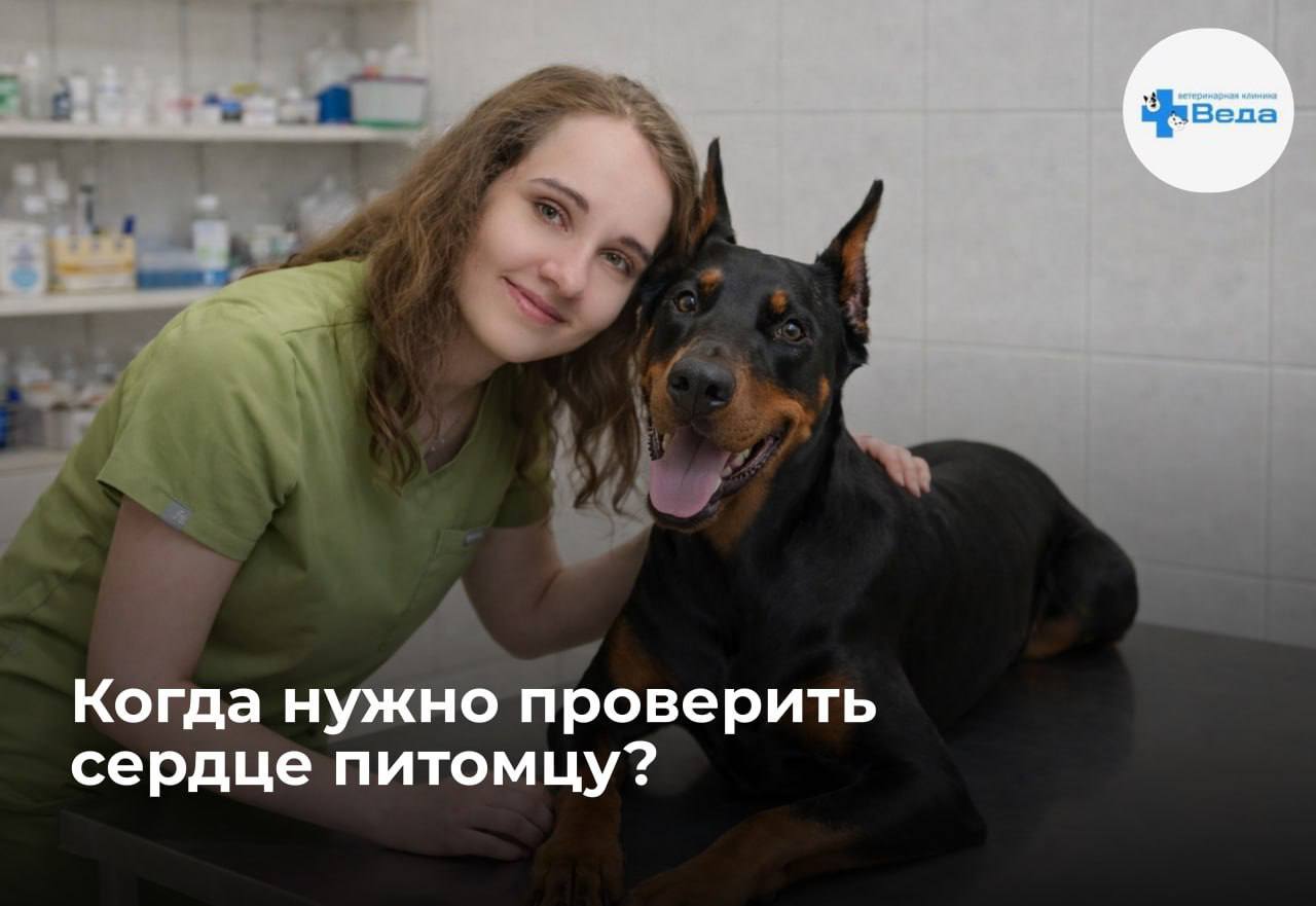 Изображение новости