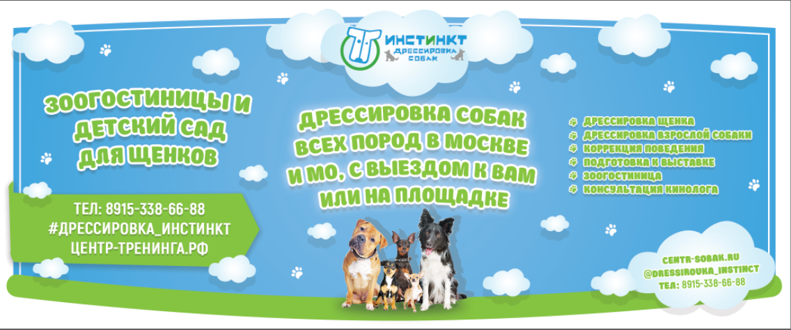 Групповые занятия по дрессировке собак в Красногорске