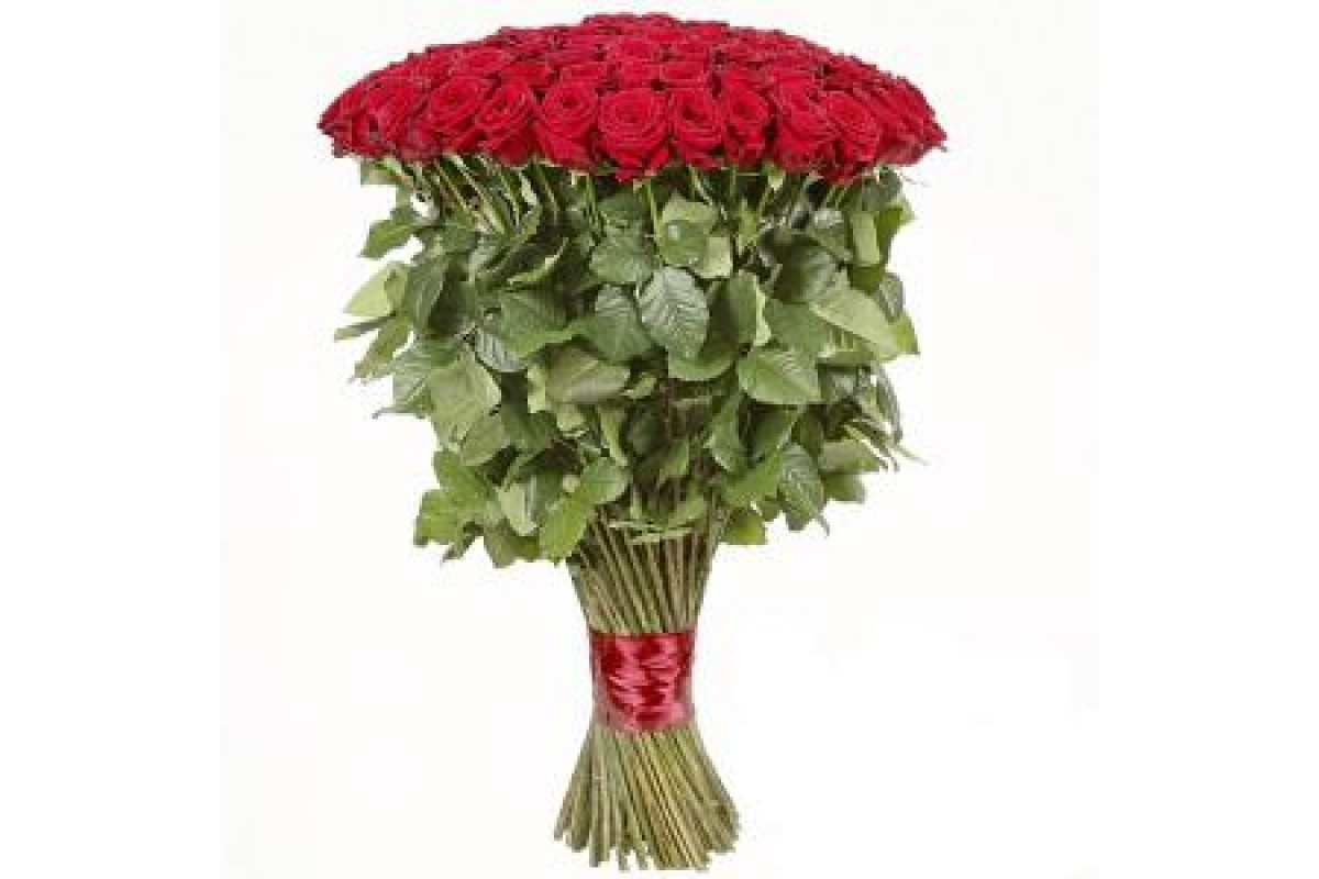 новинка букет из 101 розы Эквадор, 80 см стебель в упаковке фетр с атласной лентой. В диаметре букет 60 см. 
Гарантия свежести цветов, Доставка в указанное время.