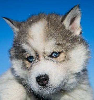 Изображение новости