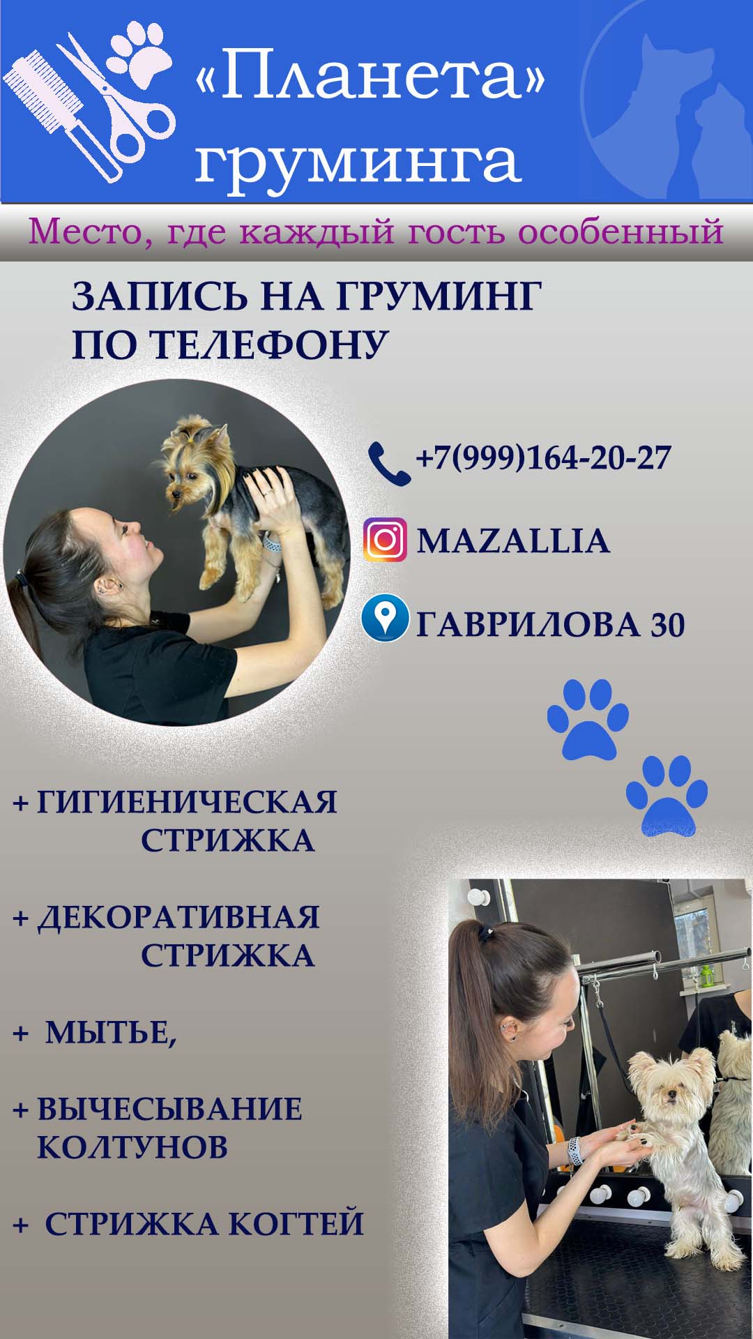 открыта запись на груминг