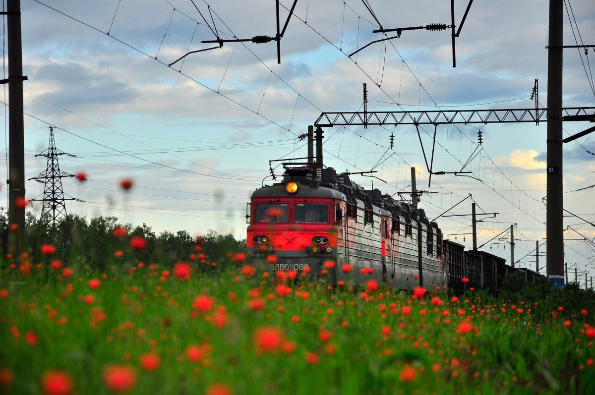 Красивое фото, просто эксклюзивное фото.