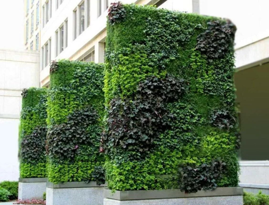 Вертикальное озеленение: как преобразить интерьер с помощью природы