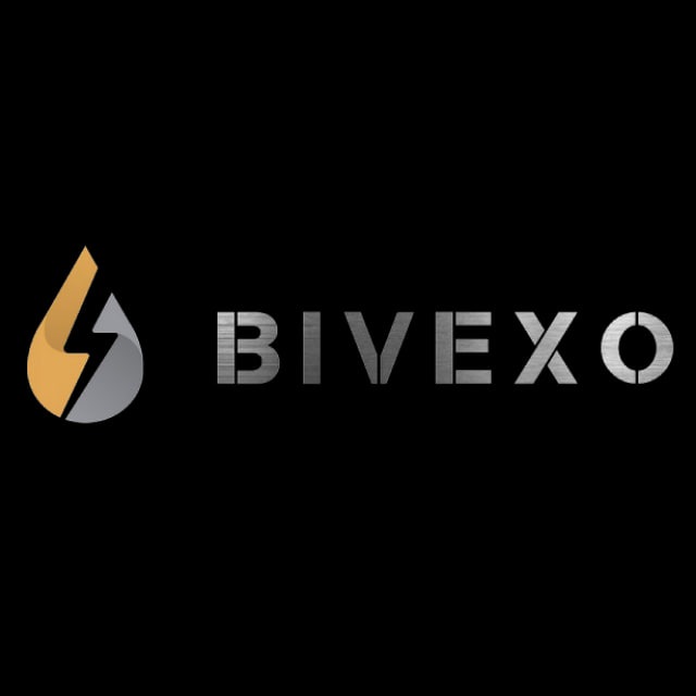 Bivexo Group Limited logo