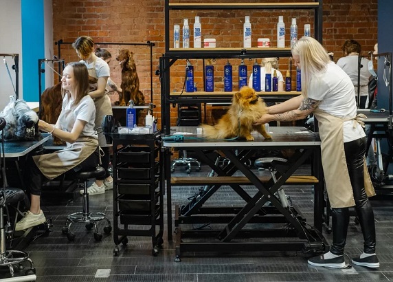 Изображение новости