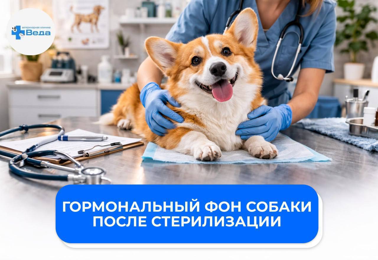 Изображение новости