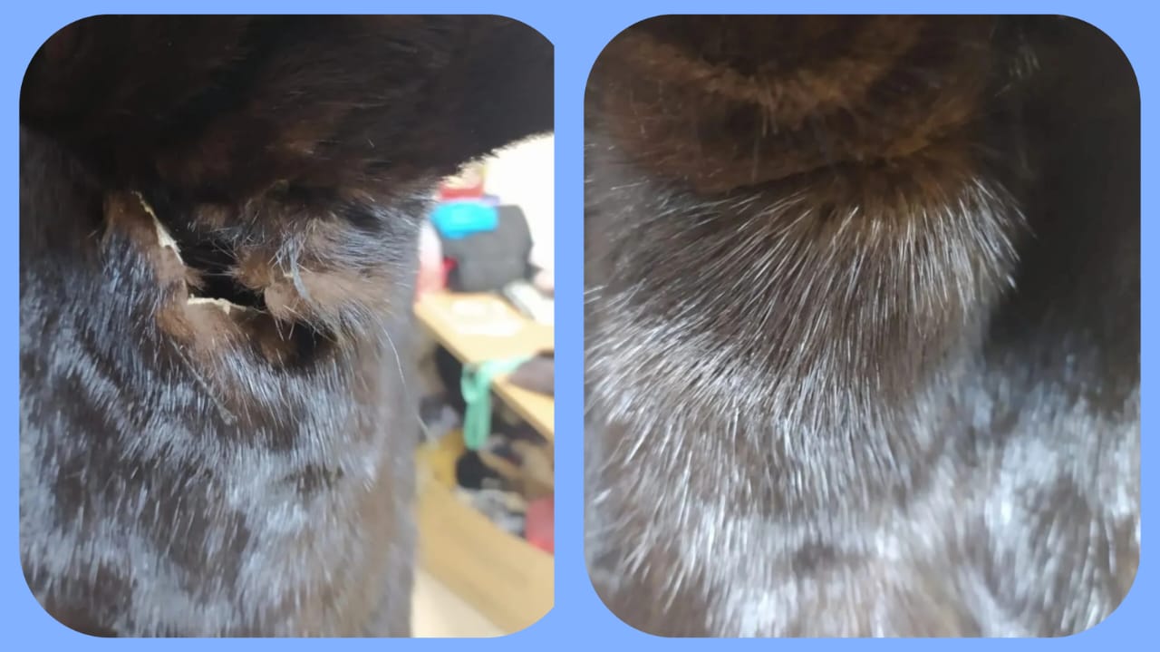 Устранили порыв в подмышке норковой шубы