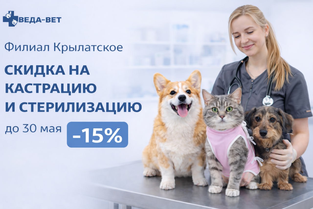 До 30 мая скидка на кастрацию и стерилизацию животных