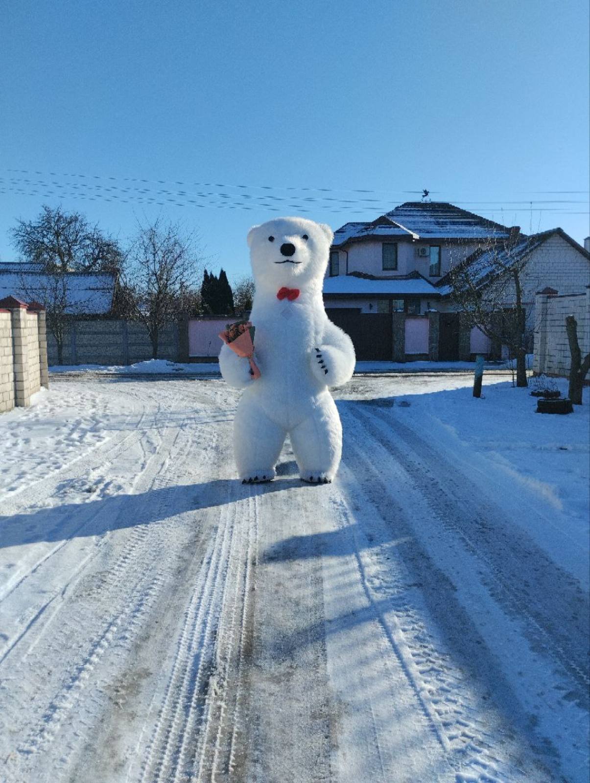 Белый Медведь на праздник в Гомеле