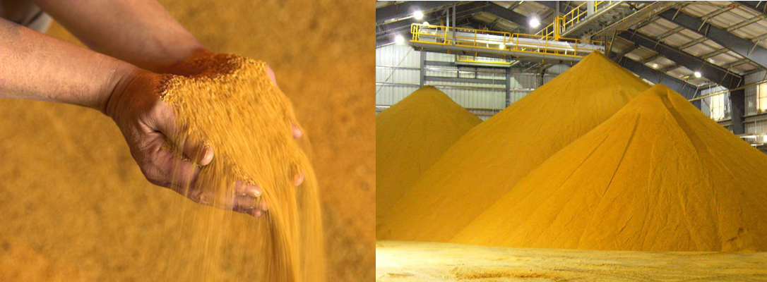 производство кукурузной барды