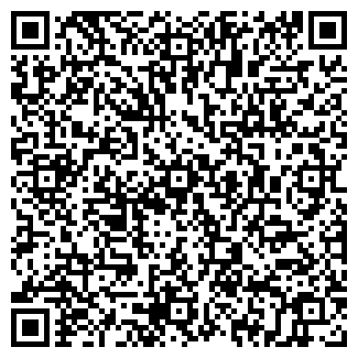 QR-код с контактной информацией организации ДИСКО-СТАЙЛ