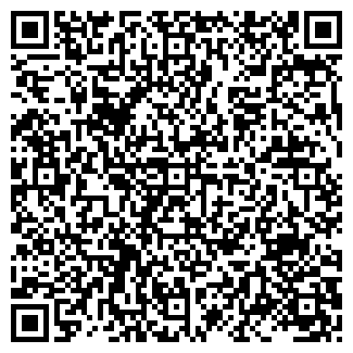 QR-код с контактной информацией организации ВОЛНА, ЧП