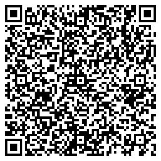 QR-код с контактной информацией организации Lion-Avto