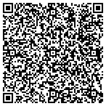 QR-код с контактной информацией организации ИП Шафиров С.В.