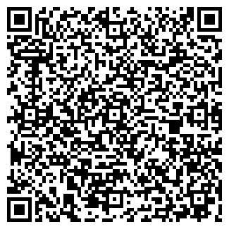 QR-код с контактной информацией организации НОВЫЙ ДЕНЬ