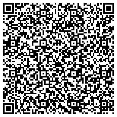 QR-код с контактной информацией организации Русский фейерверк, магазин пиротехники и подарков, ИП Салов А.И.