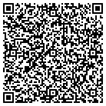 QR-код с контактной информацией организации Скиф, СТО, ИП Мартынов Д.В.