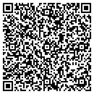 QR-код с контактной информацией организации ИП Гогия Т.Р.