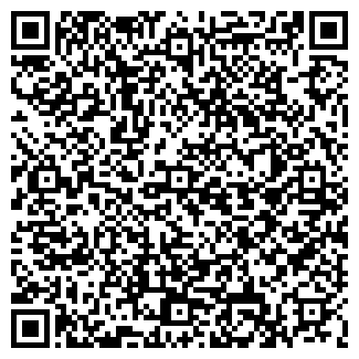 QR-код с контактной информацией организации Блин-Ницца