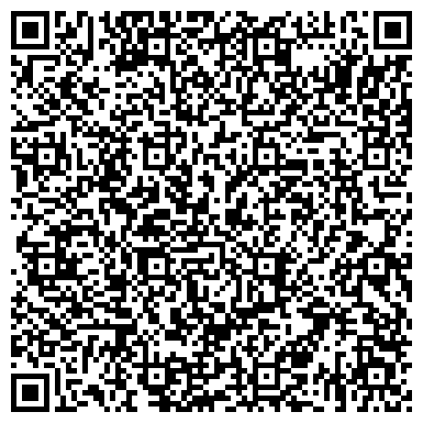 QR-код с контактной информацией организации Белшина, ООО, торговый дом, представительство в г. Барнауле