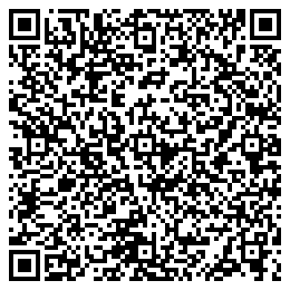 QR-код с контактной информацией организации Северное сияние