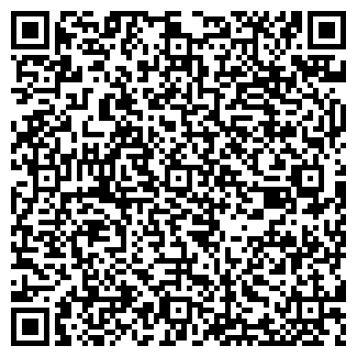 QR-код с контактной информацией организации kidskomi.net