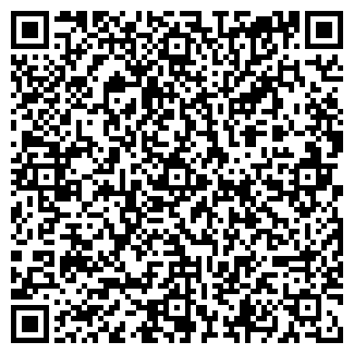 QR-код с контактной информацией организации ИП Солонов В.И.