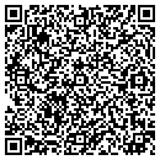 QR-код с контактной информацией организации VIP