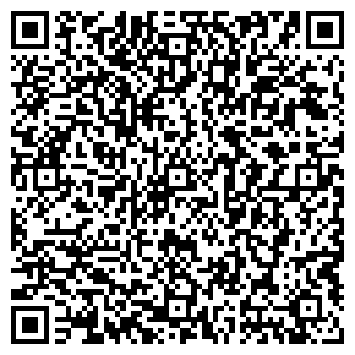 QR-код с контактной информацией организации Виват, сауна