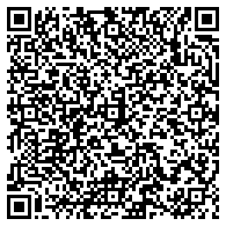 QR-код с контактной информацией организации Сэсэг