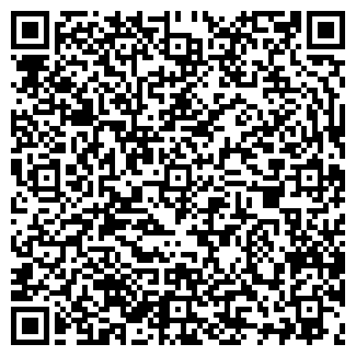 QR-код с контактной информацией организации ВЭБ-ЛИЗИНГ