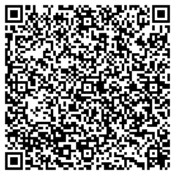 QR-код с контактной информацией организации ПЕРМСКИЙ ЛИЗИНГОВЫЙ АЛЬЯНС, ООО