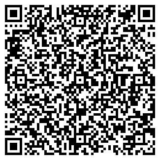 QR-код с контактной информацией организации Жорж, кафе-бар