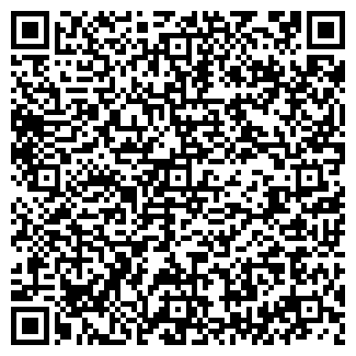 QR-код с контактной информацией организации Срочное фото за 5 минут